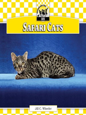 cover image of Safari Cats
